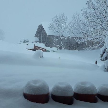 Snow+Surf B&B Lauenen Εξωτερικό φωτογραφία