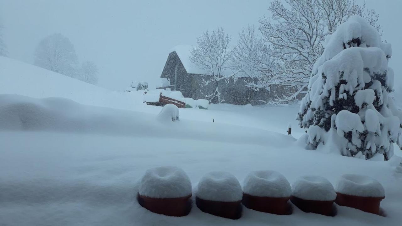 Snow+Surf B&B Lauenen Εξωτερικό φωτογραφία