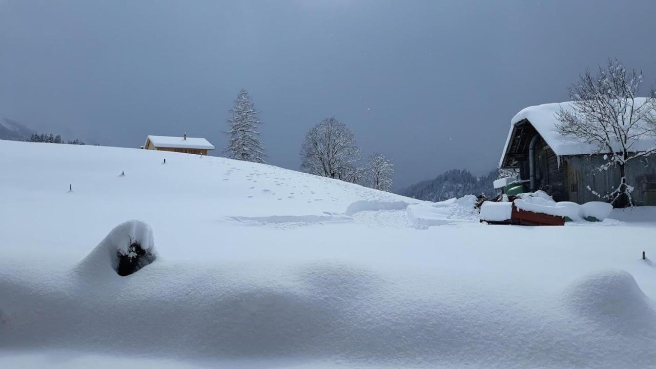 Snow+Surf B&B Lauenen Εξωτερικό φωτογραφία