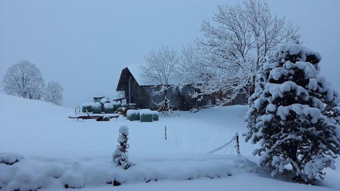 Snow+Surf B&B Lauenen Εξωτερικό φωτογραφία