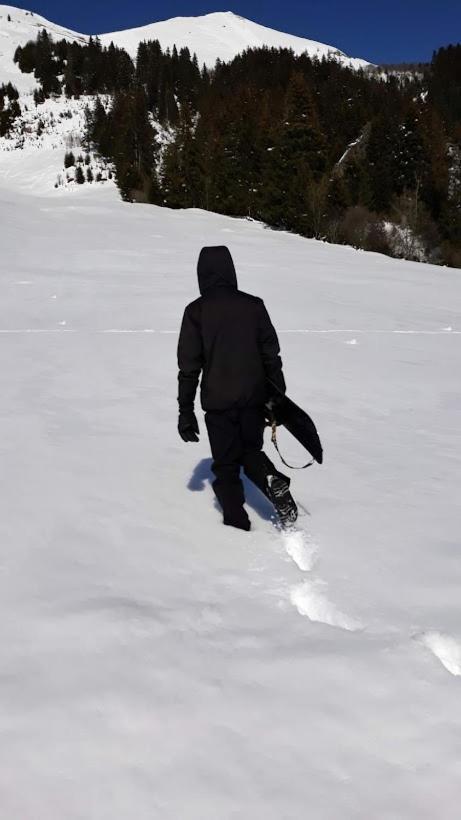 Snow+Surf B&B Lauenen Εξωτερικό φωτογραφία