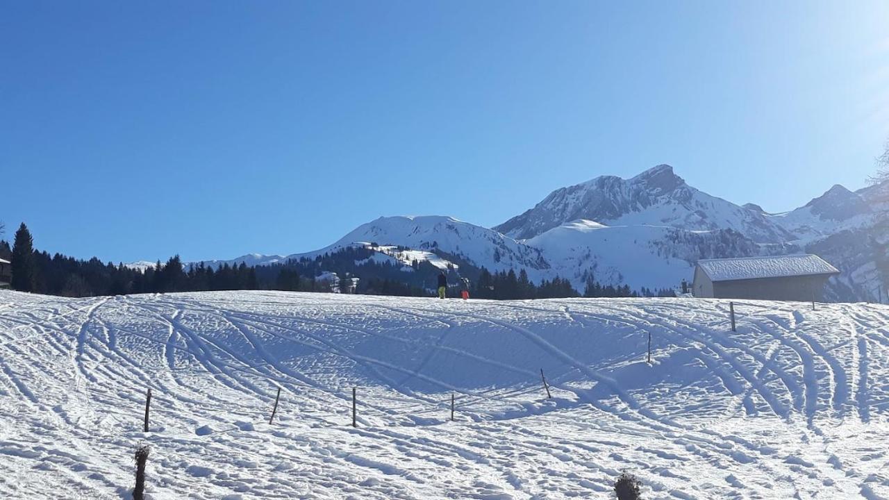 Snow+Surf B&B Lauenen Εξωτερικό φωτογραφία