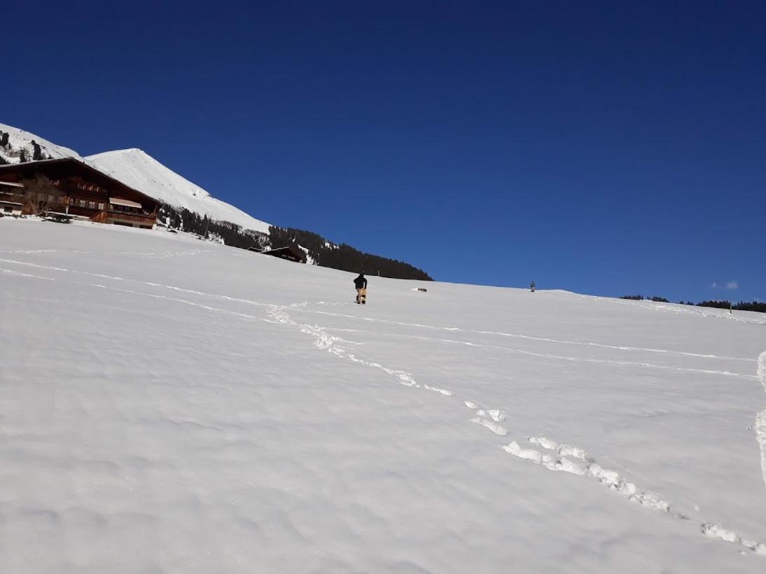 Snow+Surf B&B Lauenen Εξωτερικό φωτογραφία